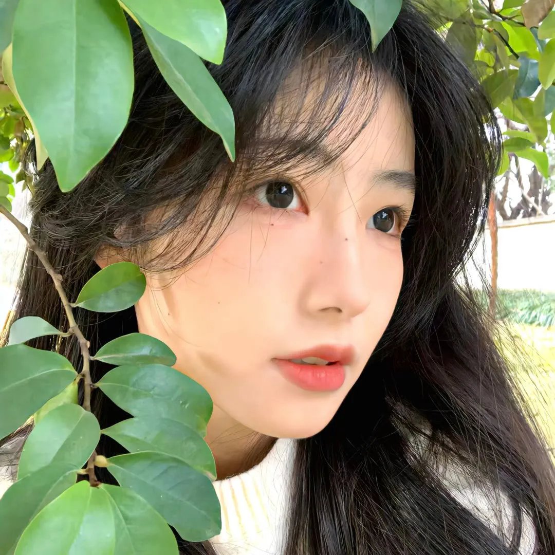 枪影世界